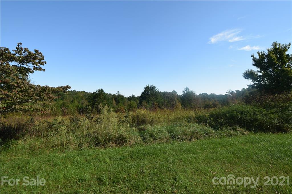 1051 Poors Ford Road Rutherfordton, NC 28139 - Photo 2 of 21 a view of a mountain range with trees in the background
