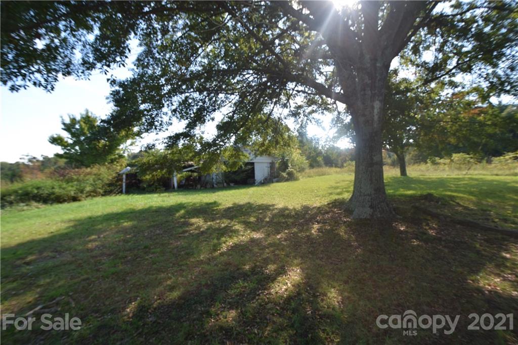 1051 Poors Ford Road Rutherfordton, NC 28139 - Photo 13 of 21 a view of yard with trees