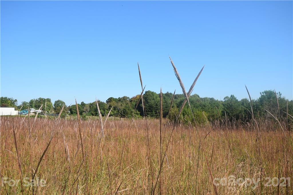 1051 Poors Ford Road Rutherfordton, NC 28139 - Photo 17 of 21 a view of a yard with a large tree