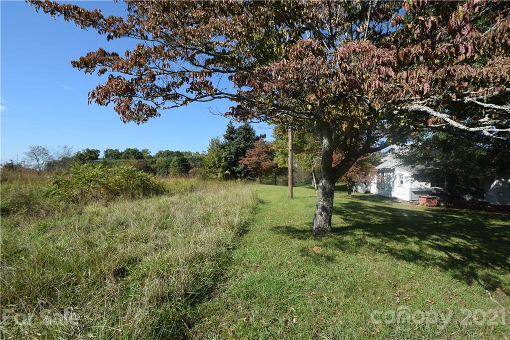 1051 Poors Ford Road Rutherfordton, NC 28139 - Photo 4 of 21 a view of a tree in a yard