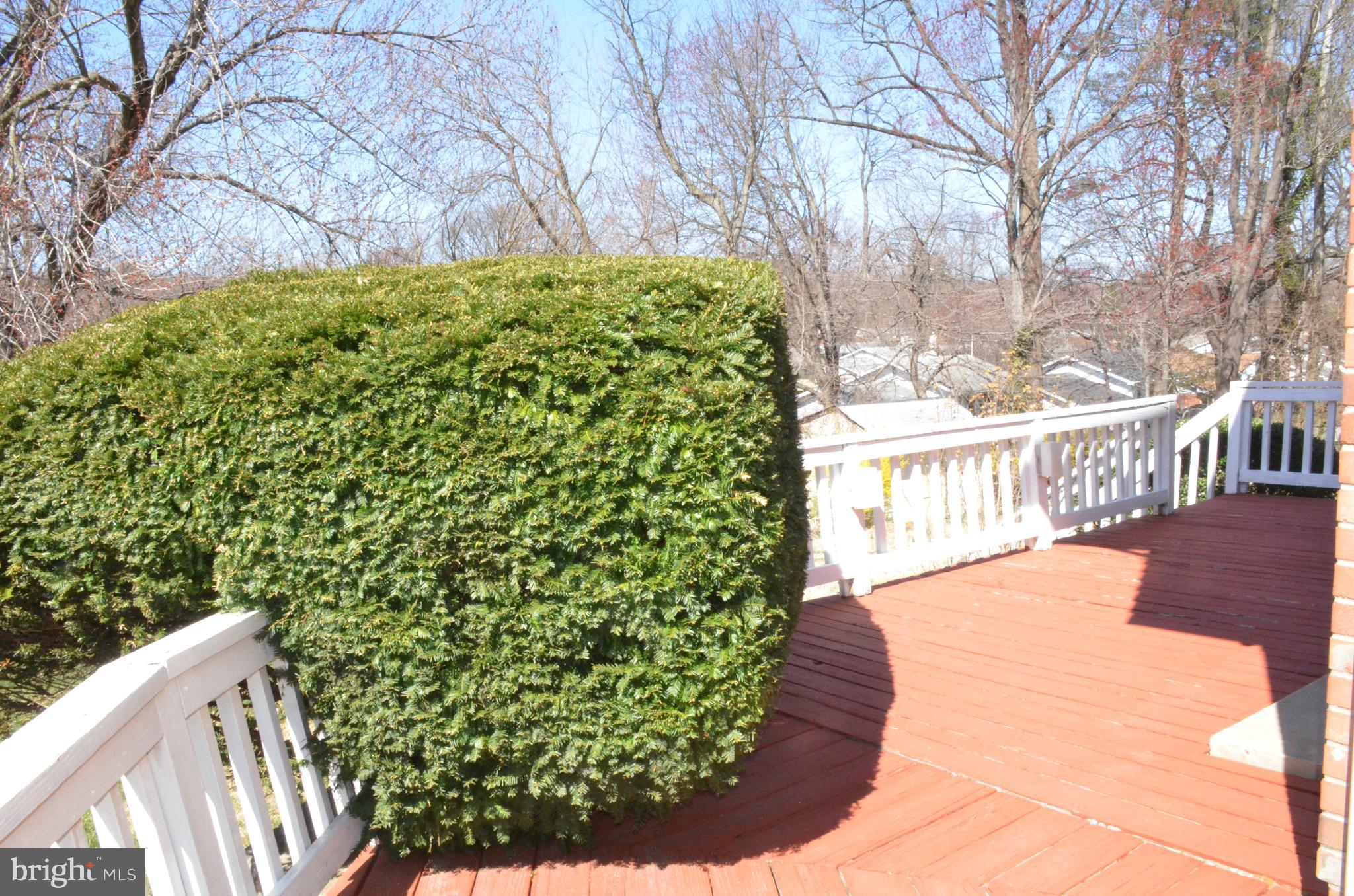 307 Hannes Street Silver Spring, MD 20901 - Photo 31 of 37