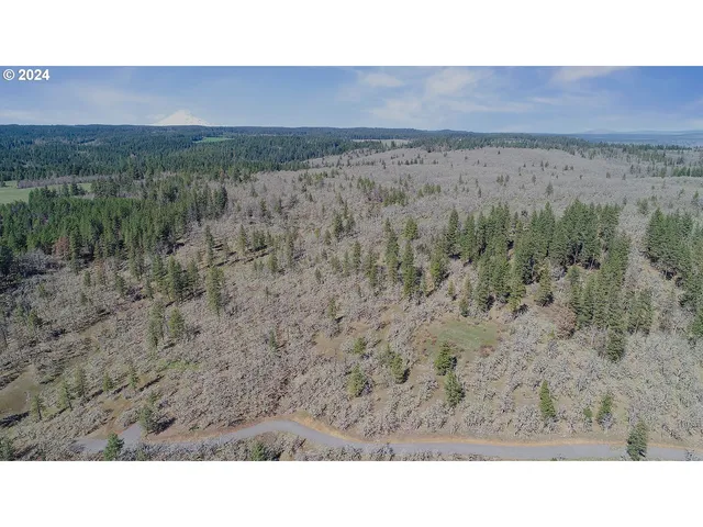 a black and white photo of a field
