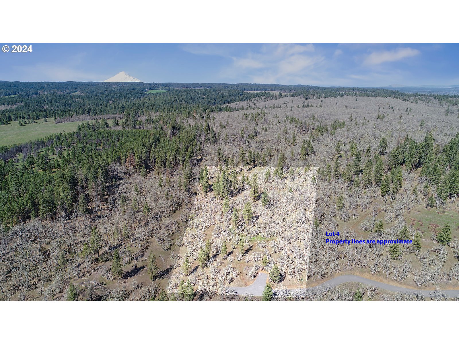 Secluded Way, Unit 4 Lyle, WA 98635 - Photo 4 of 4 a outdoor view