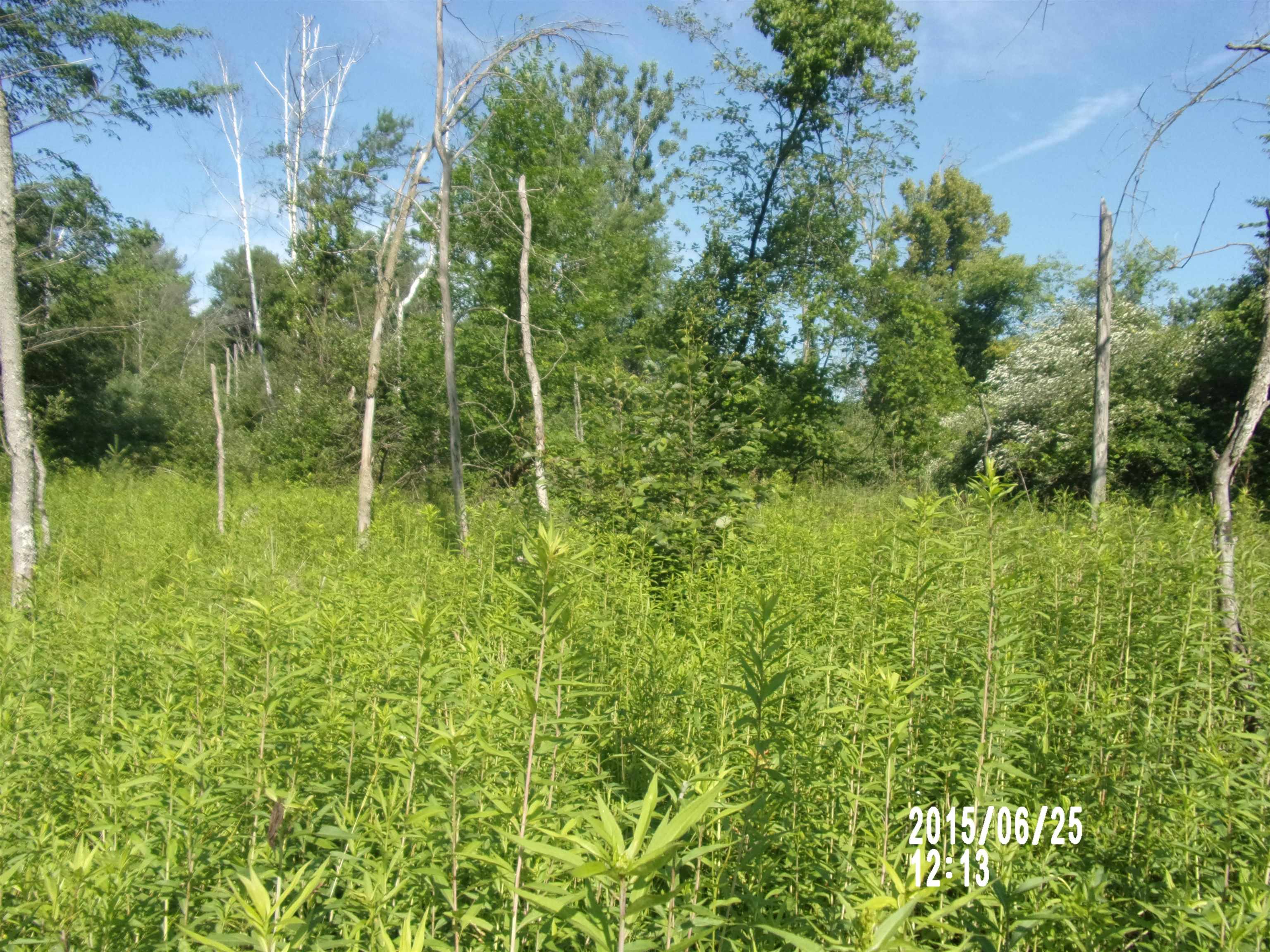 0 West Conners Road Twining, MI 48766 - Photo 9 of 10 1913178-8.JPG