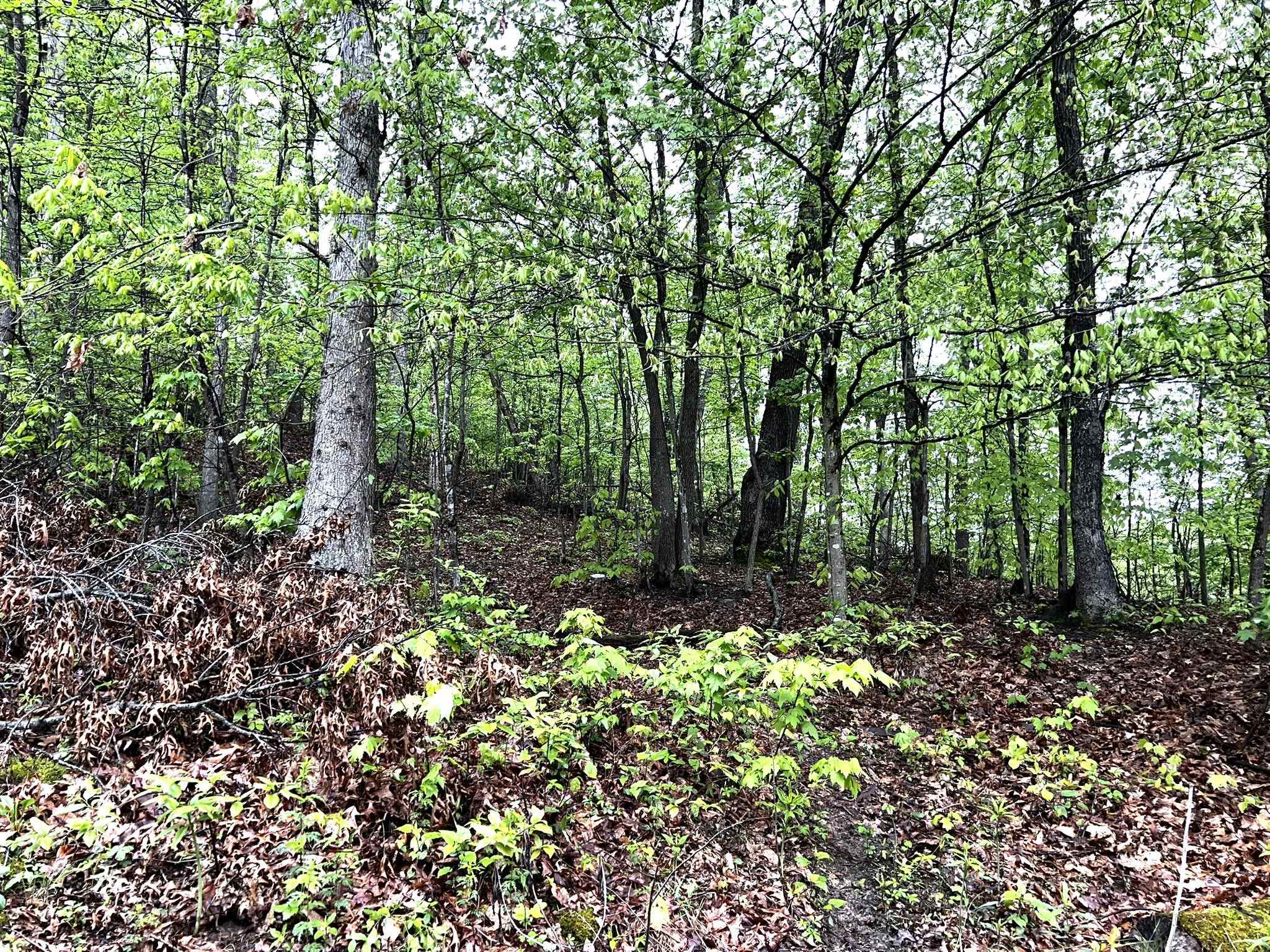 702 Meade Hollow Road Greenup, KY 41144 - Photo 7 of 12