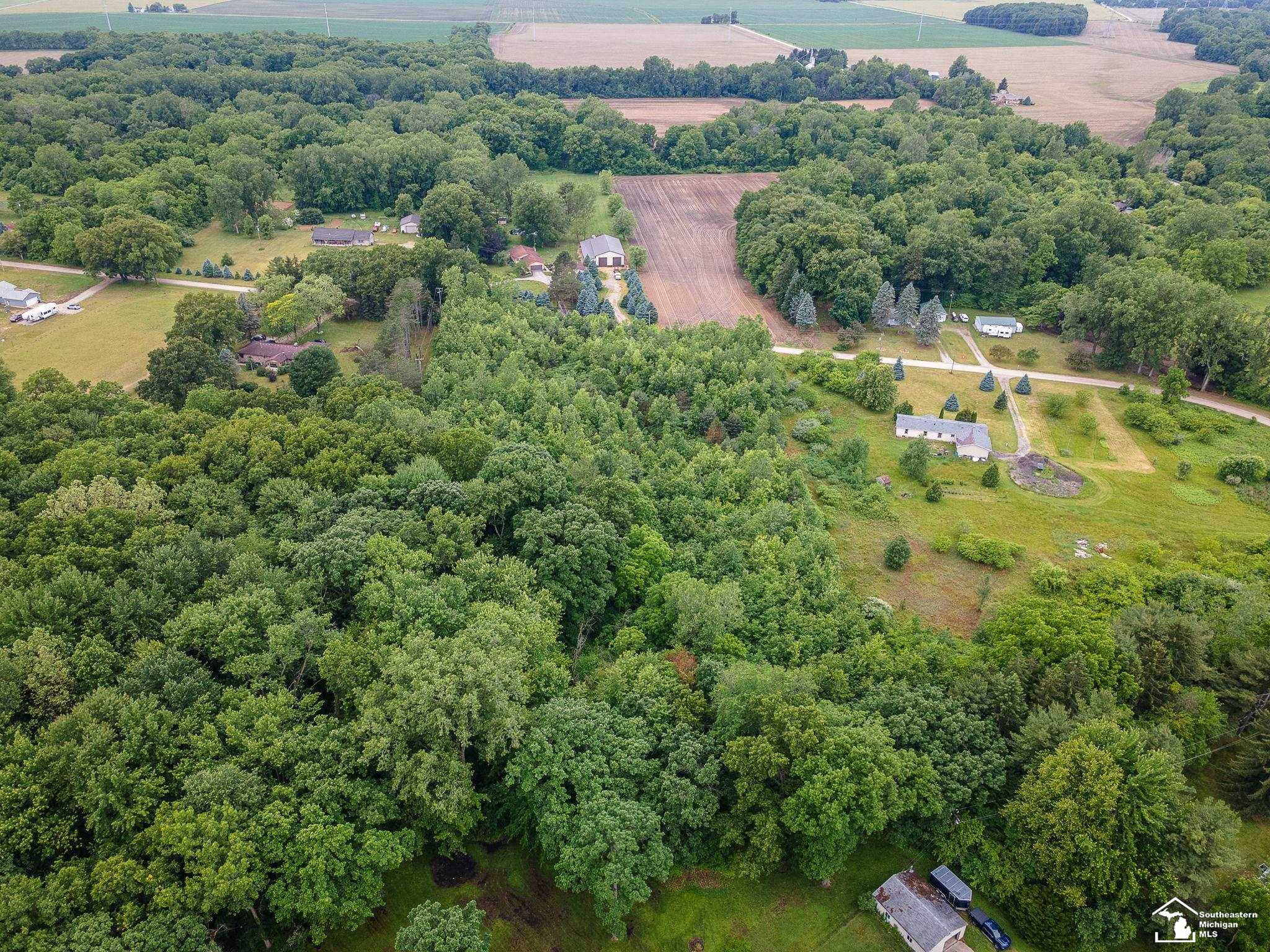 0 Townsend Road Milan, MI 48160 - Photo 5 of 9