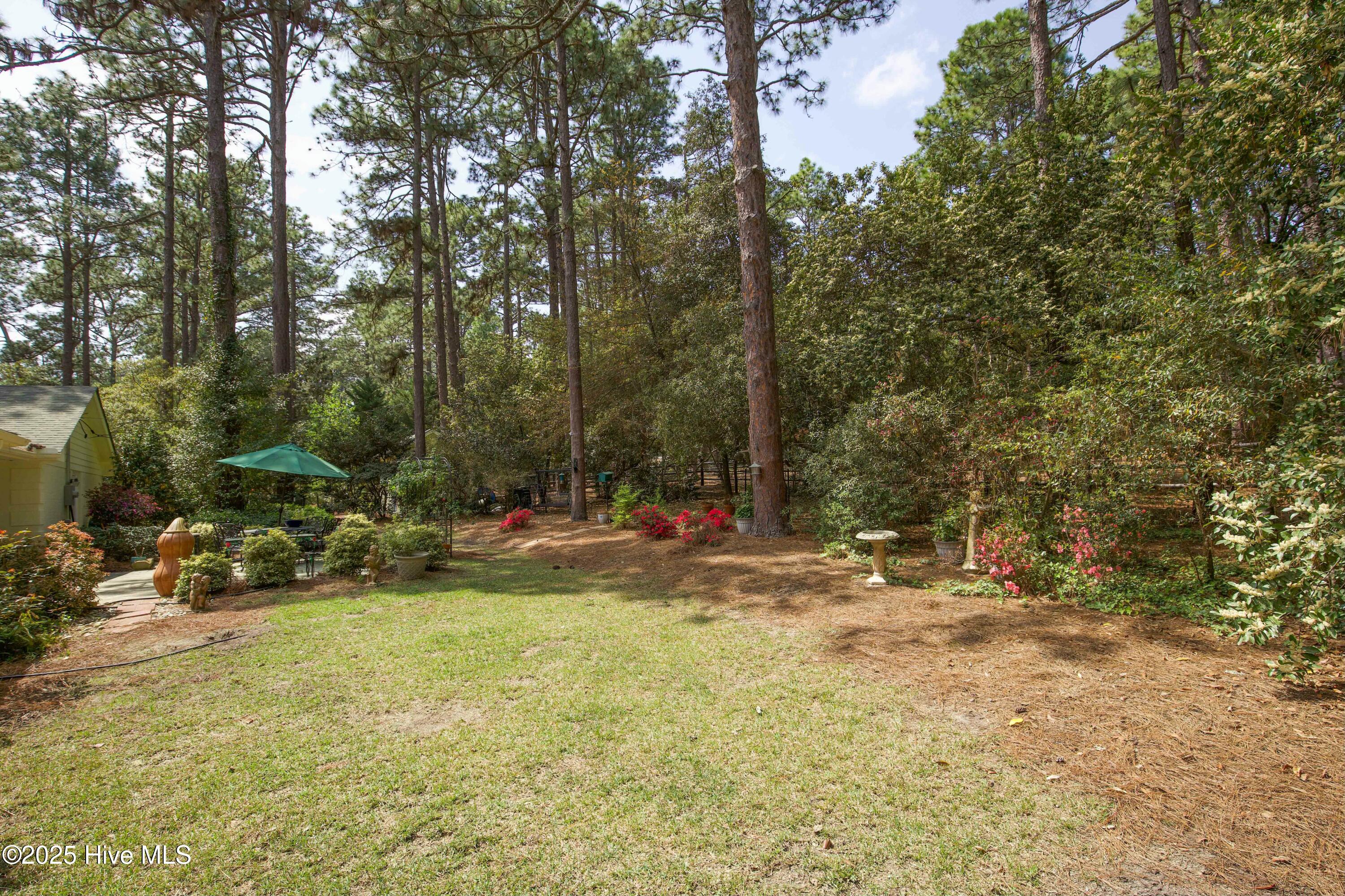 310 Becky Branch Road Southern Pines, NC 28387 - Photo 48 of 58 back yard
