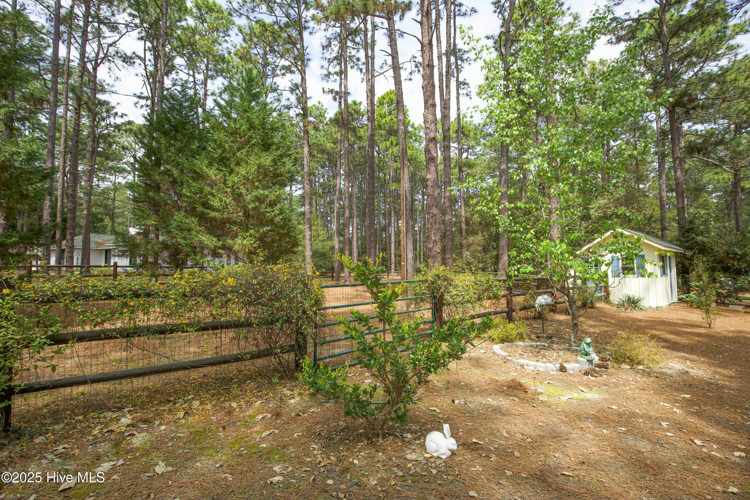 310 Becky Branch Road Southern Pines, NC 28387 - Photo 50 of 58 more yard