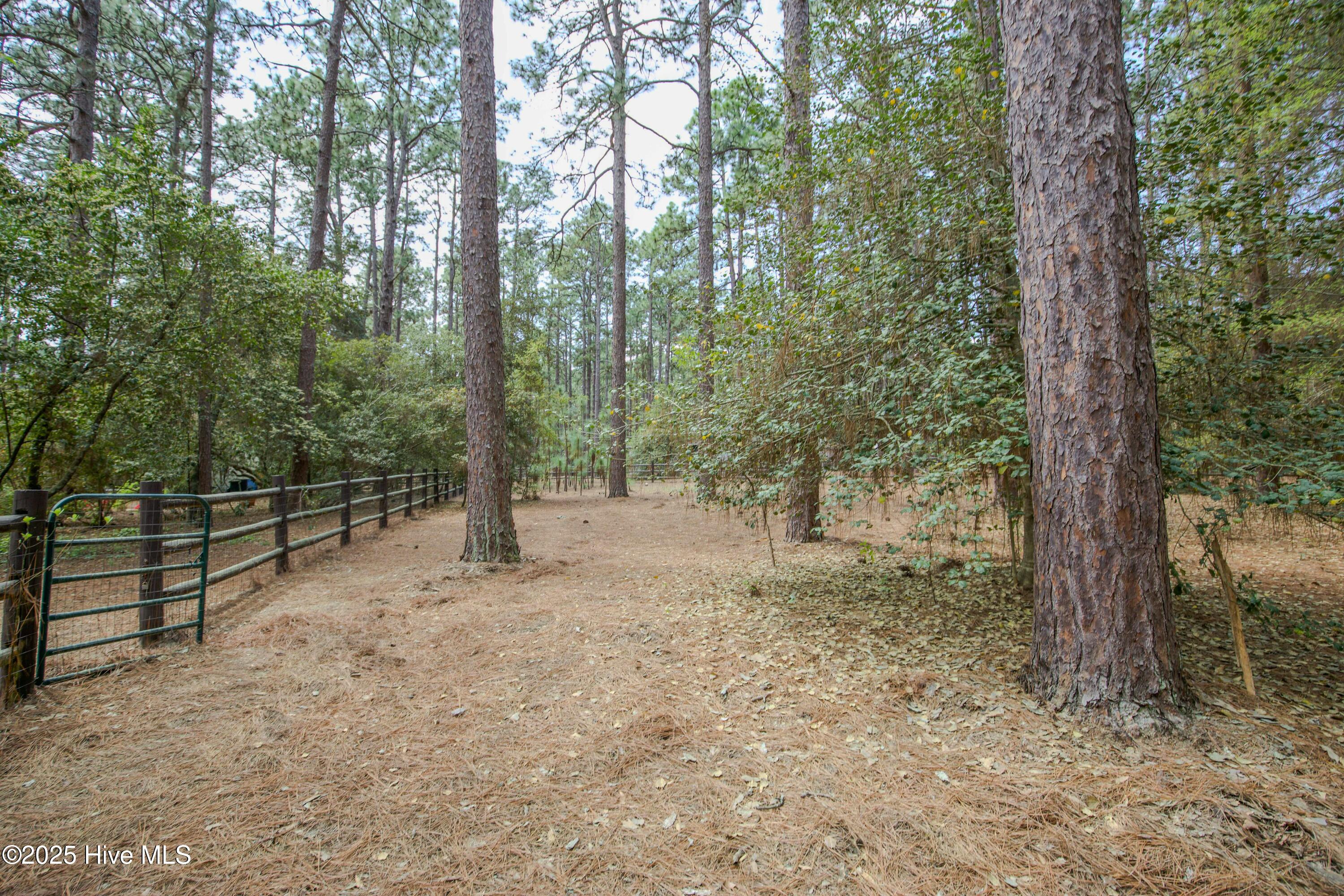 310 Becky Branch Road Southern Pines, NC 28387 - Photo 52 of 58 fenced area