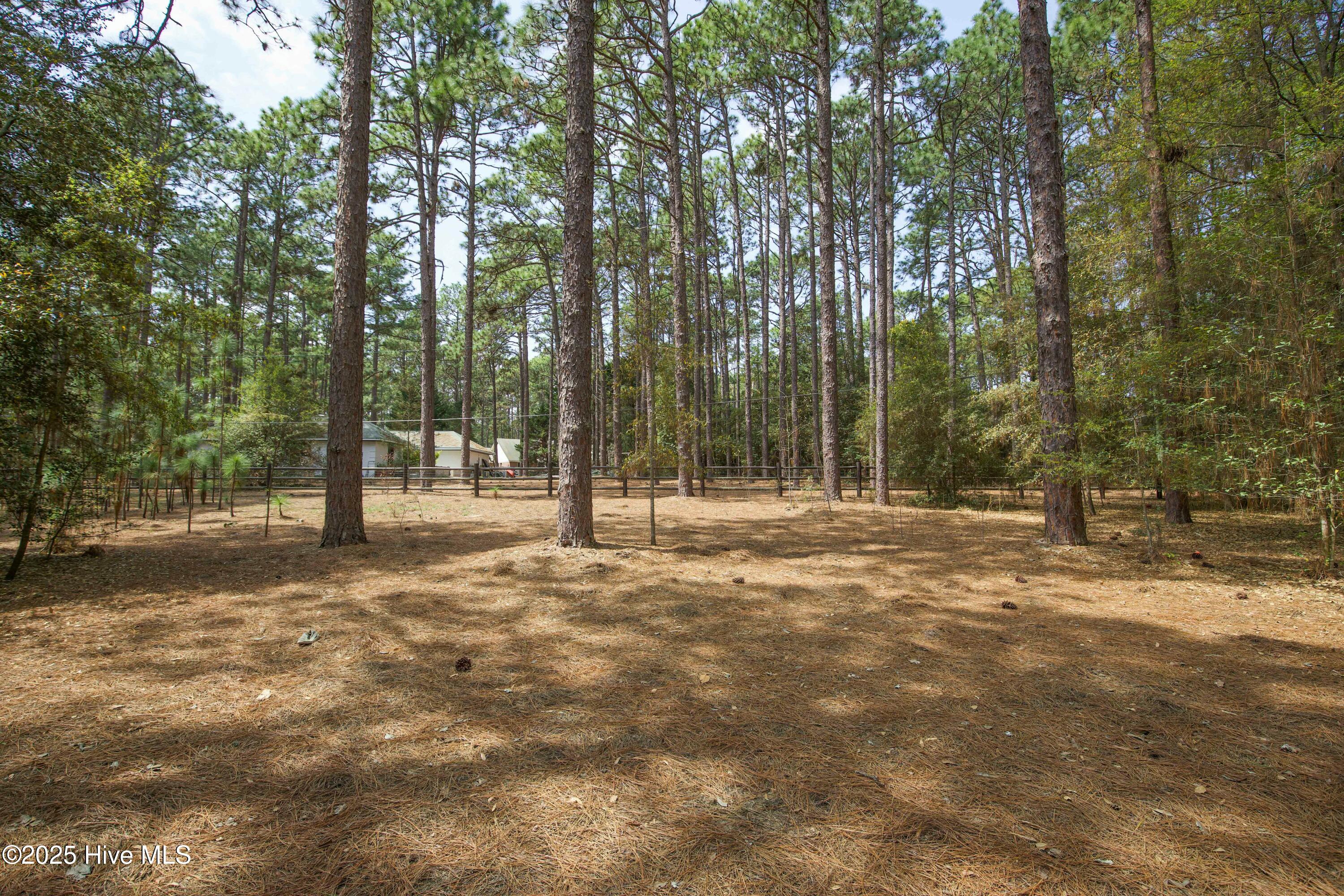 310 Becky Branch Road Southern Pines, NC 28387 - Photo 53 of 58 almost 2 acres total