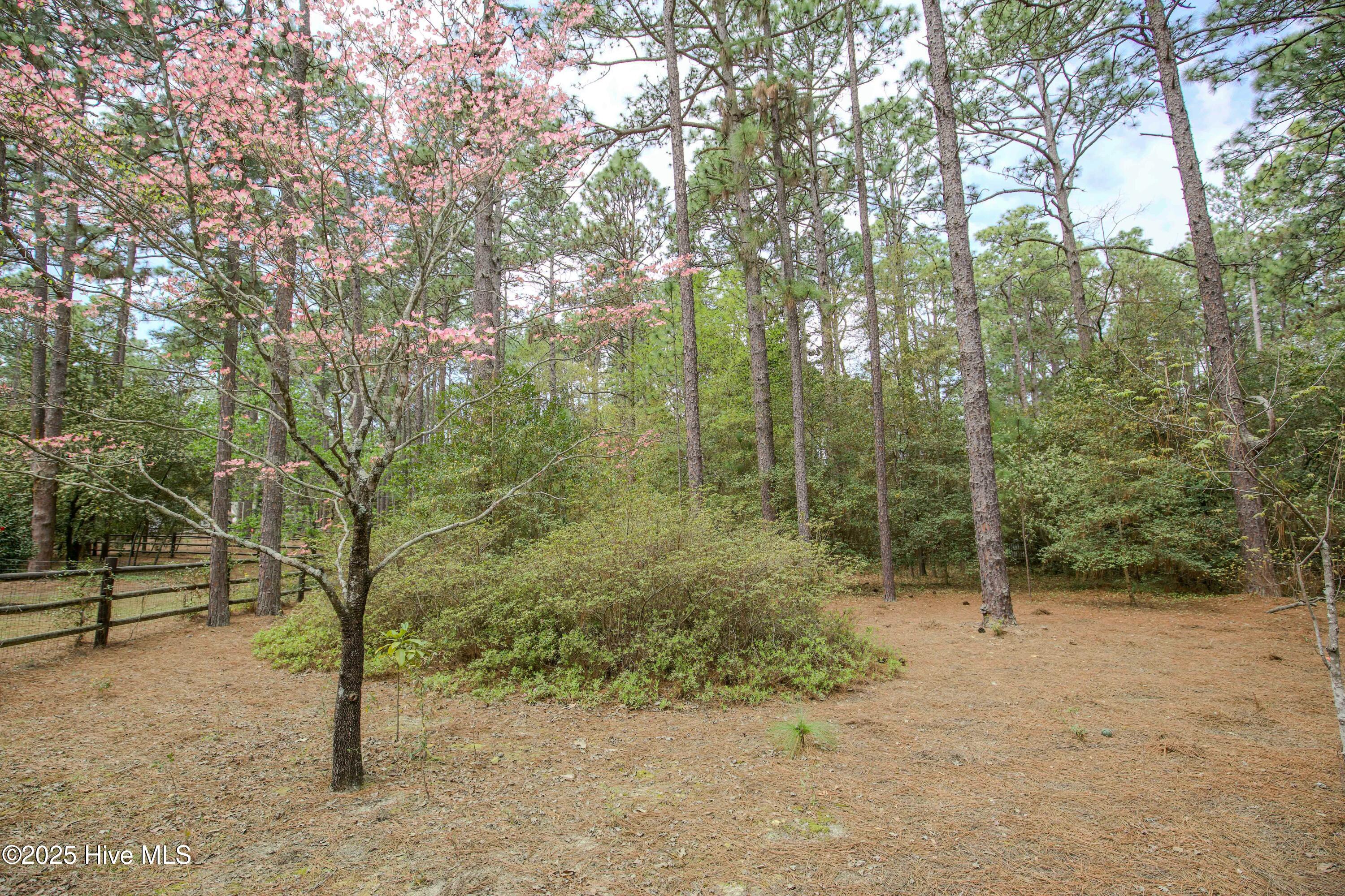 310 Becky Branch Road Southern Pines, NC 28387 - Photo 54 of 58 lovely space