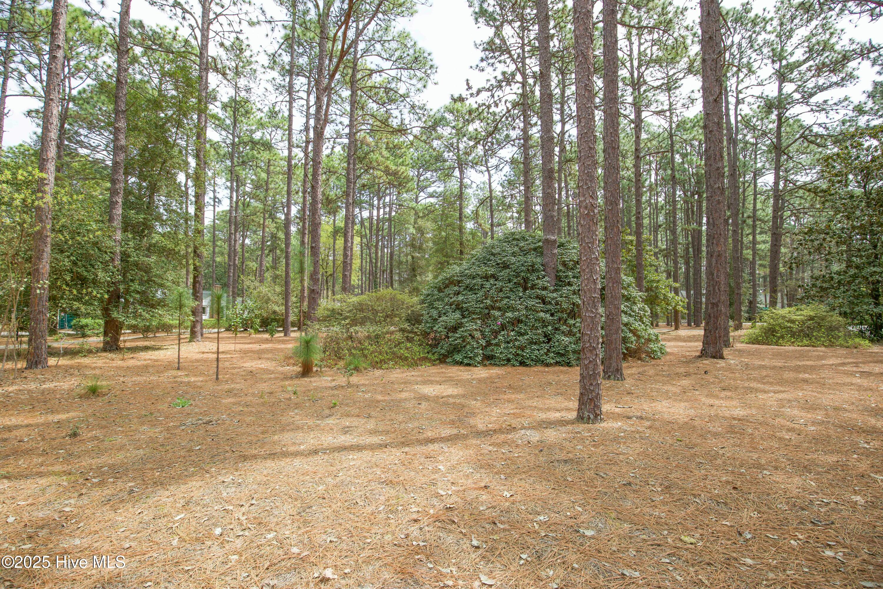 310 Becky Branch Road Southern Pines, NC 28387 - Photo 55 of 58 front yard