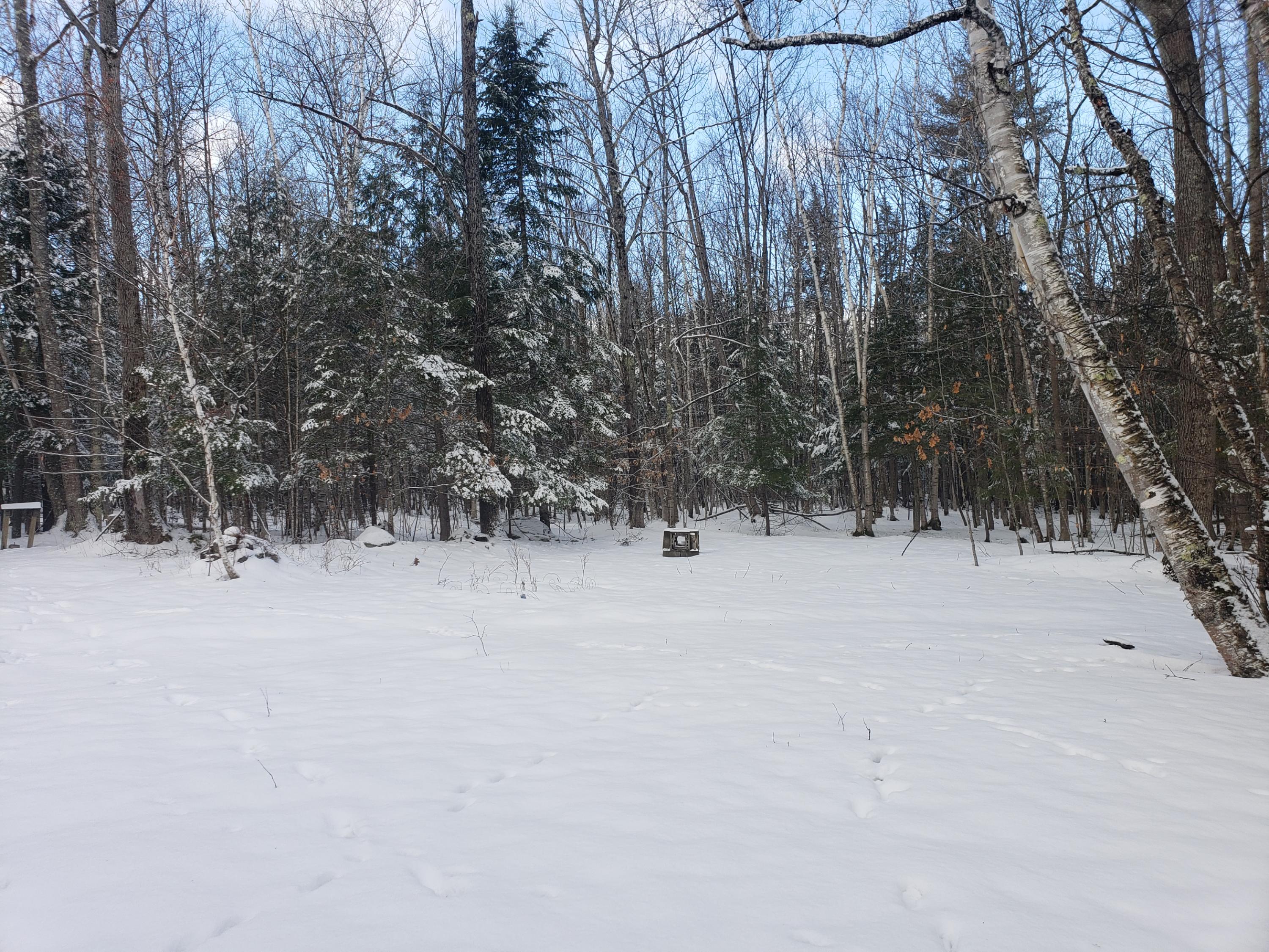 480 Greenwood Road Norway, ME 04268 - Photo 8 of 43 pikiellbackyard