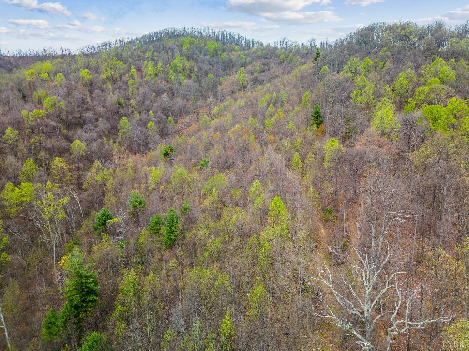 0 Wares Gap Road Monroe, VA 24574 - Photo 12 of 37 a view of a bunch of trees and bushes
