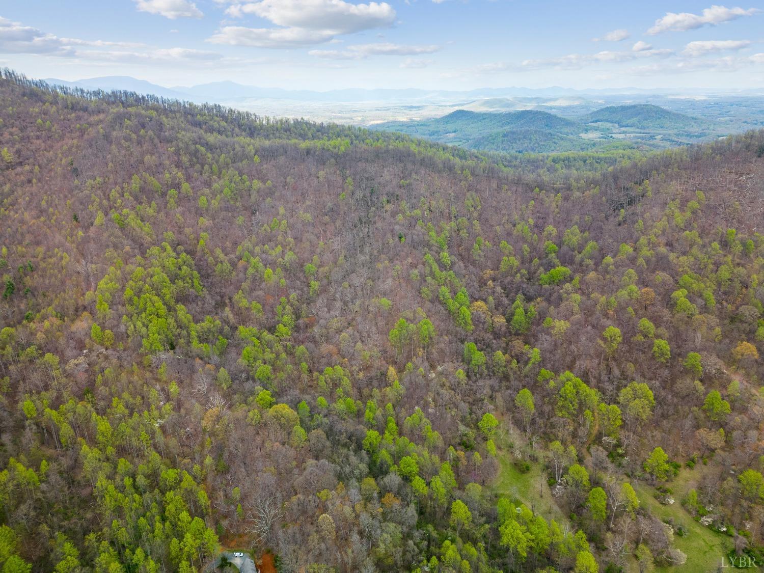 0 Wares Gap Road Monroe, VA 24574 - Photo 13 of 37 a view of mountain view with lots of trees