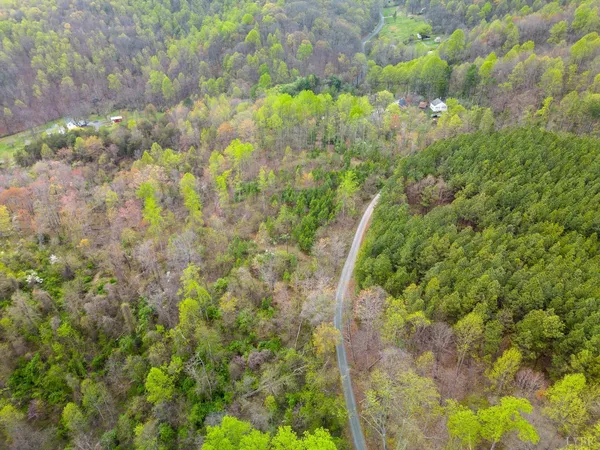 a bird view of a forest