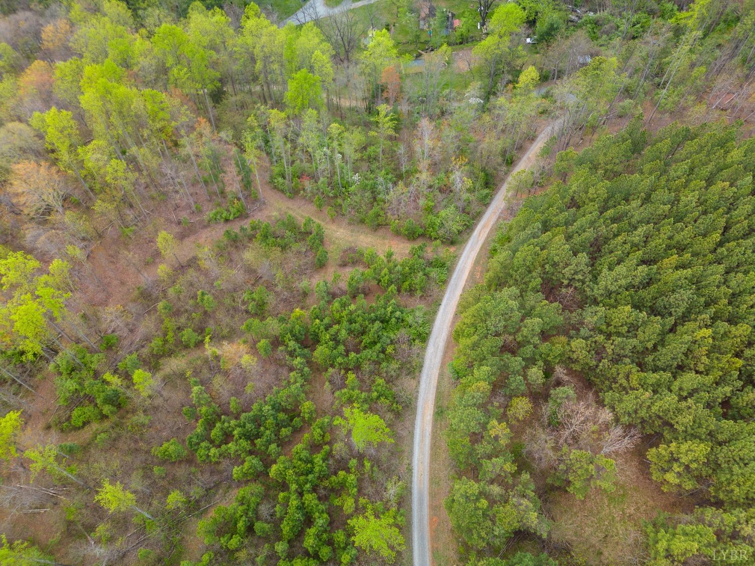 0 Wares Gap Road Monroe, VA 24574 - Photo 35 of 37 a bird view of a forest