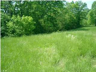 15 Mercer Bend Road Leitchfield, KY 42754 - Photo 1 of 1 Primary Photo