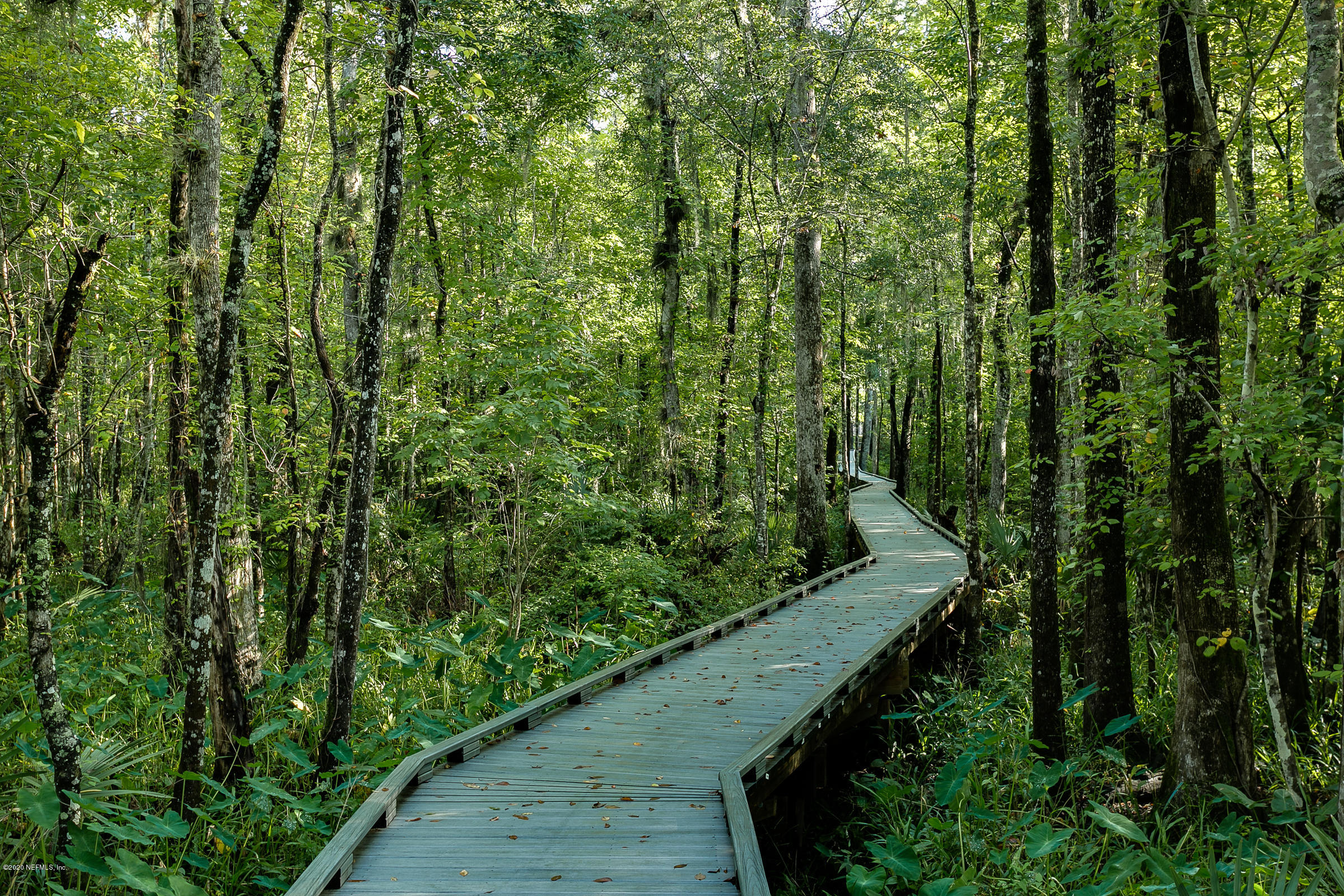 1985 Summit Ridge Road Fleming Island, FL 32003 - Photo 56 of 61 56-Boardwalk to Dock