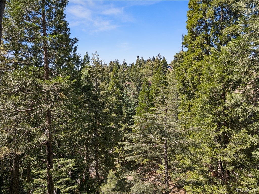 111 Grizzly Road Lake Arrowhead, CA 92352 - Photo 48 of 57