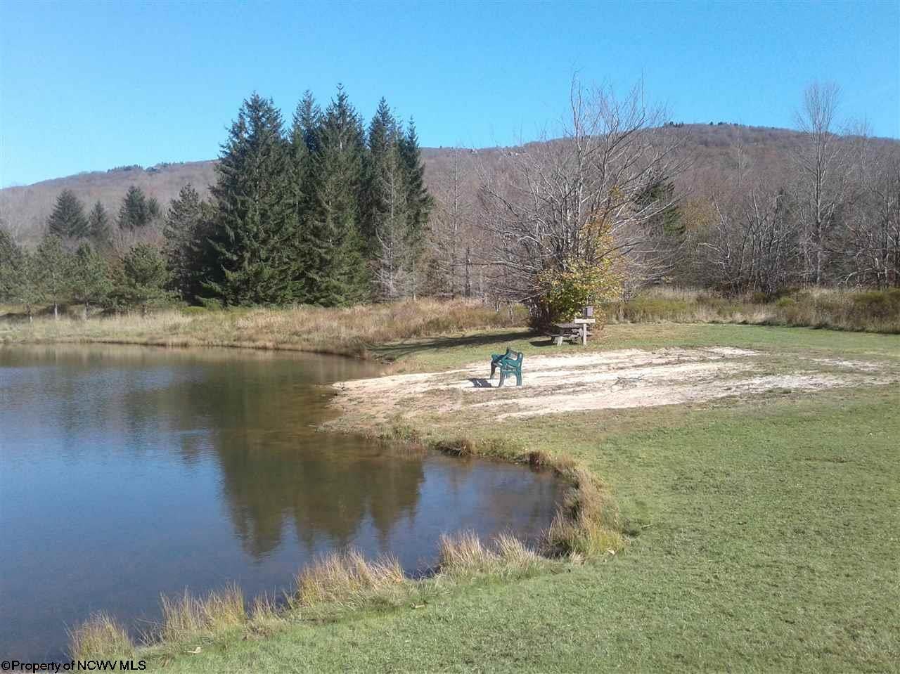 116 Fern Davis, WV 26260 - Photo 14 of 20 Gallery Image 14