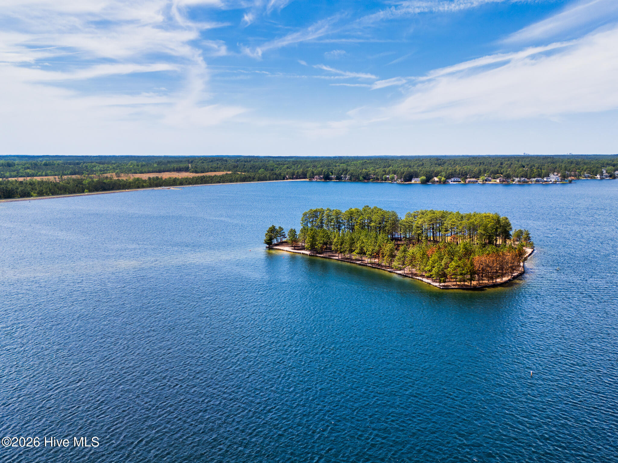 286 Longleaf Drive West End, NC 27376 - Photo 2 of 66 Z Pine Island