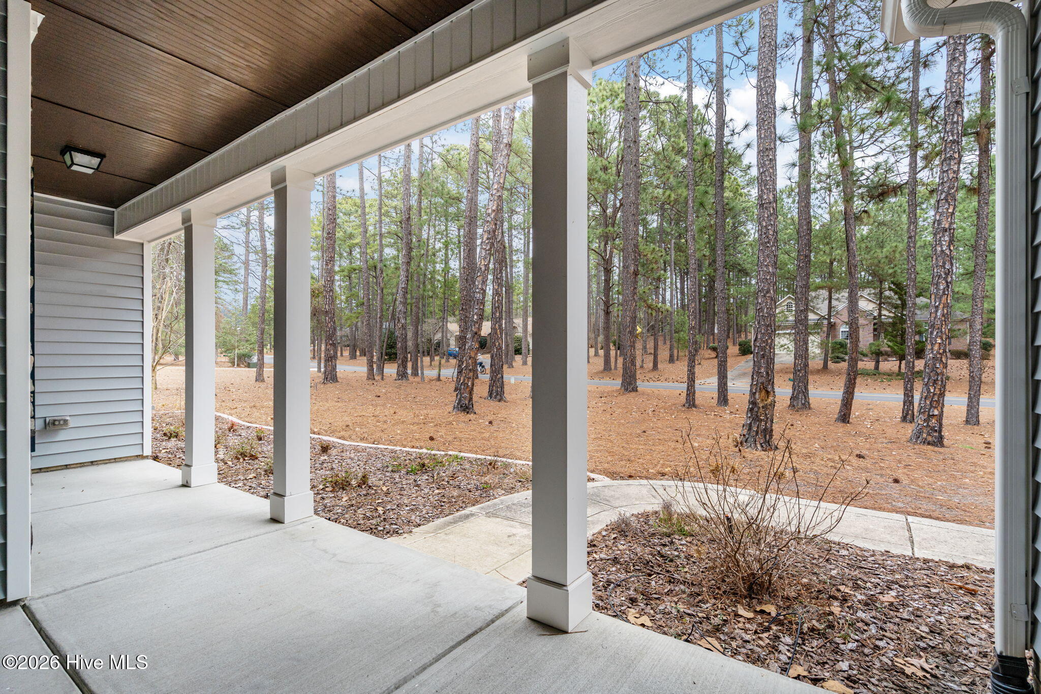 286 Longleaf Drive West End, NC 27376 - Photo 43 of 66 43-web-or-mls-DSC06046