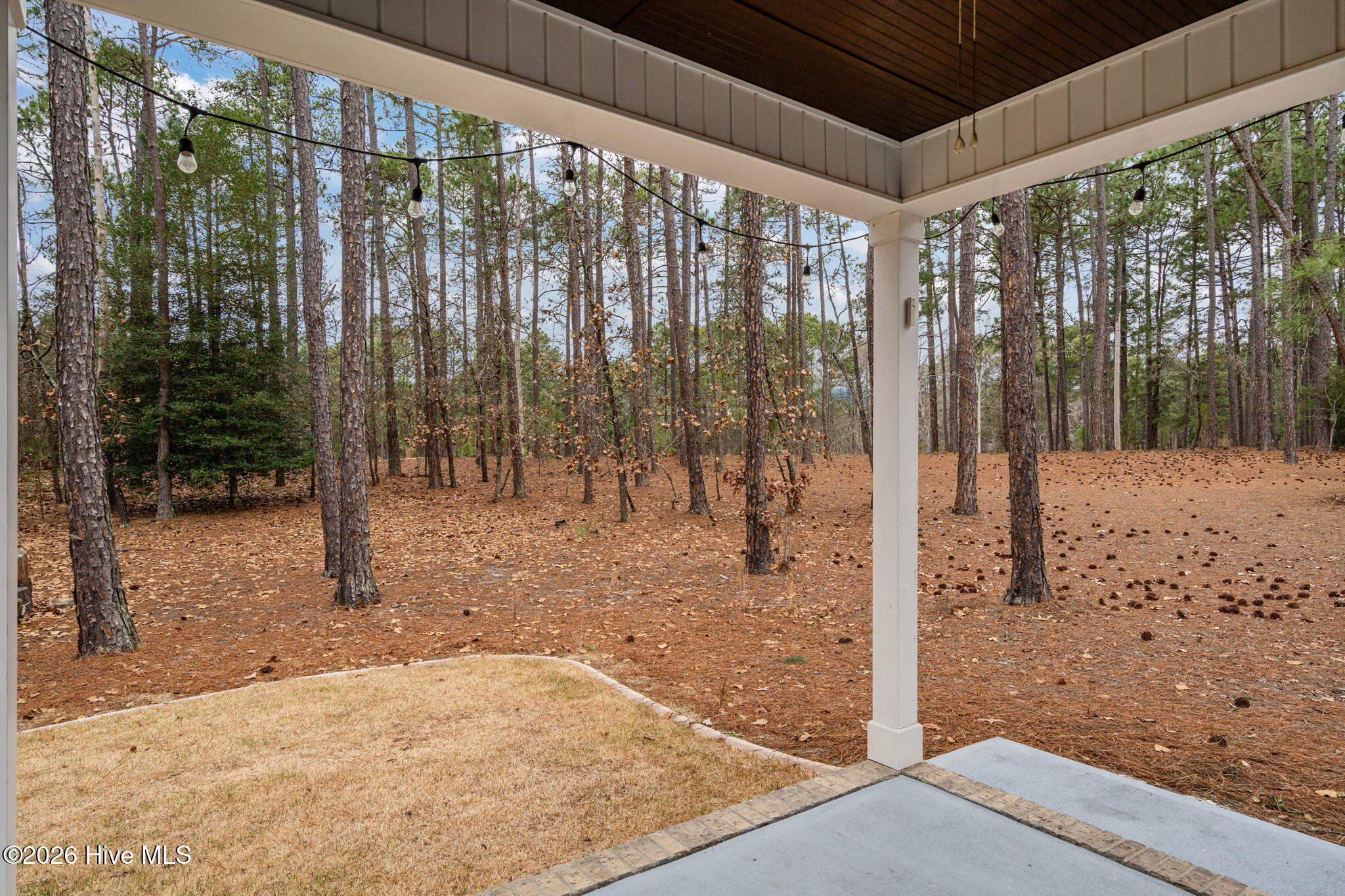 286 Longleaf Drive West End, NC 27376 - Photo 52 of 66 54-web-or-mls-DSC06060