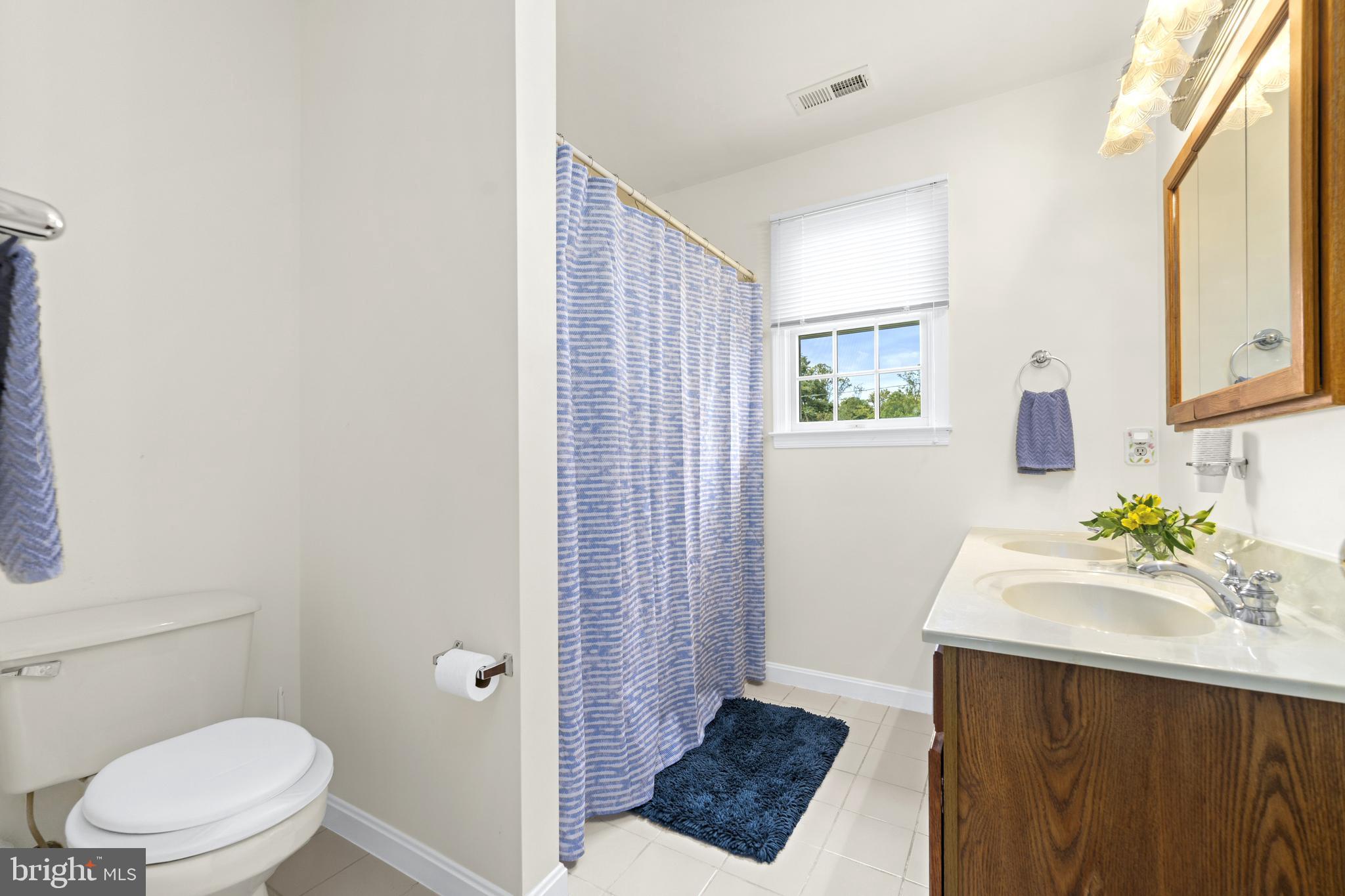 9816 Magledt Road Baltimore, MD 21234 - Photo 28 of 57 Primary Bath