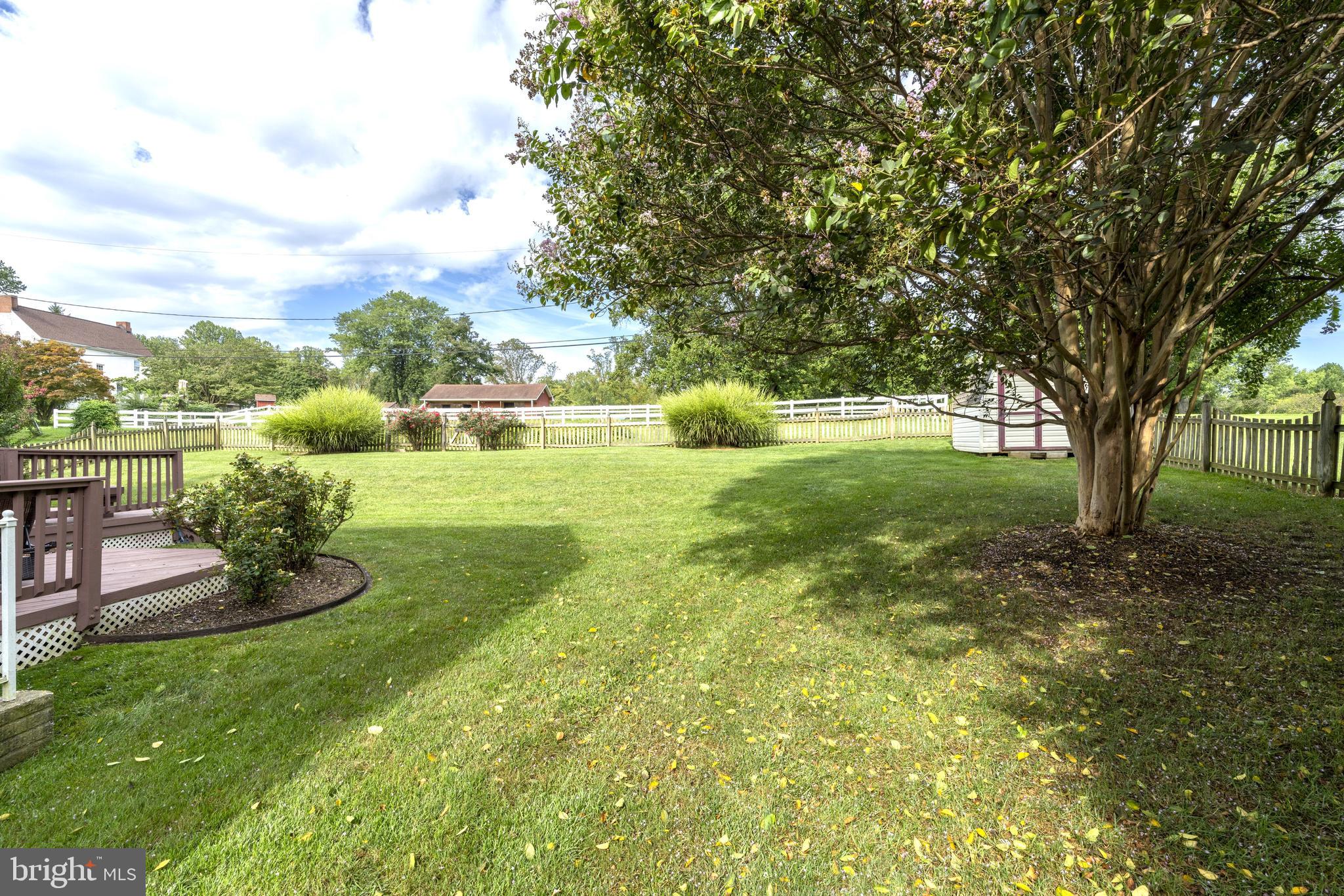 9816 Magledt Road Baltimore, MD 21234 - Photo 44 of 57 Side Yard