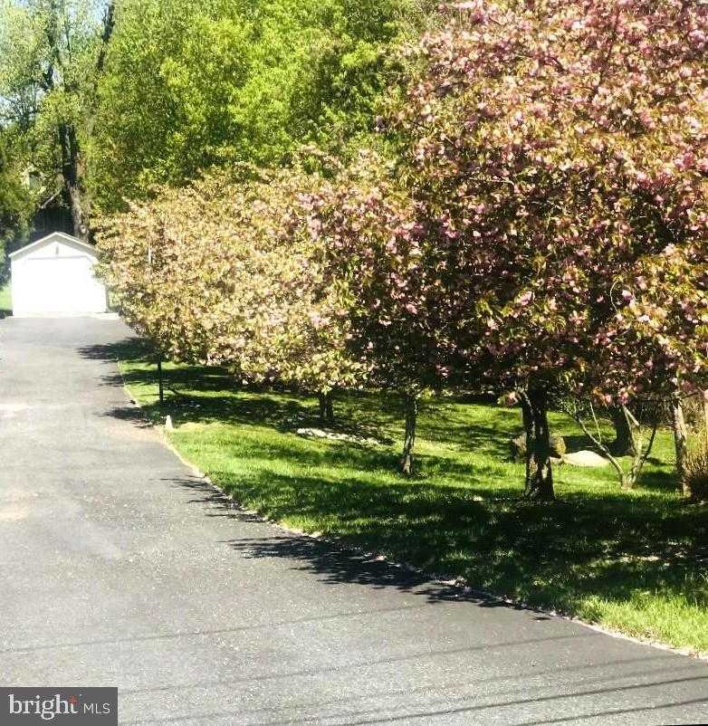 9816 Magledt Road Baltimore, MD 21234 - Photo 9 of 57 Private Driveway to The Home