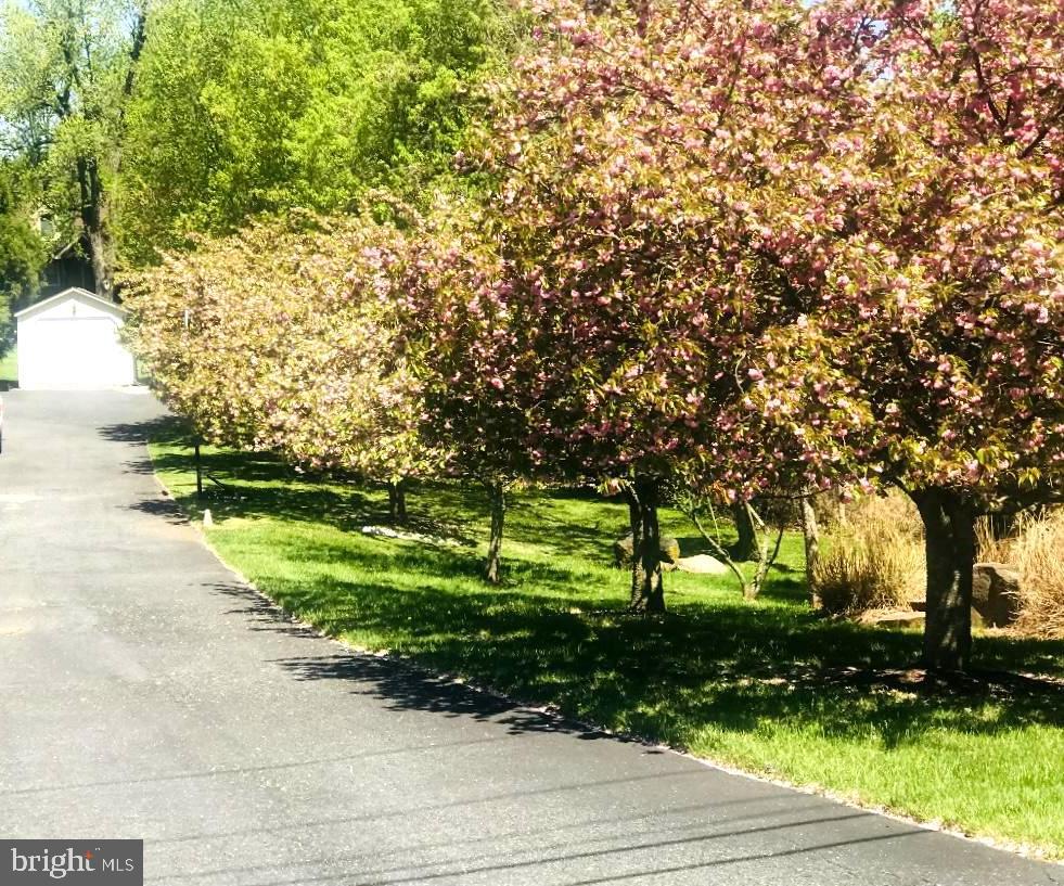 9816 Magledt Road Baltimore, MD 21234 - Photo 10 of 57 Private Driveway to The Home