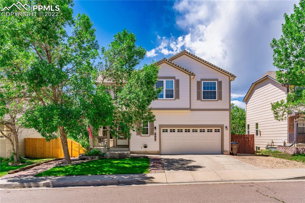 803 Ridgebury Place Fountain, CO 80817 - Photo 2 of 45 a house with a tree in front of it