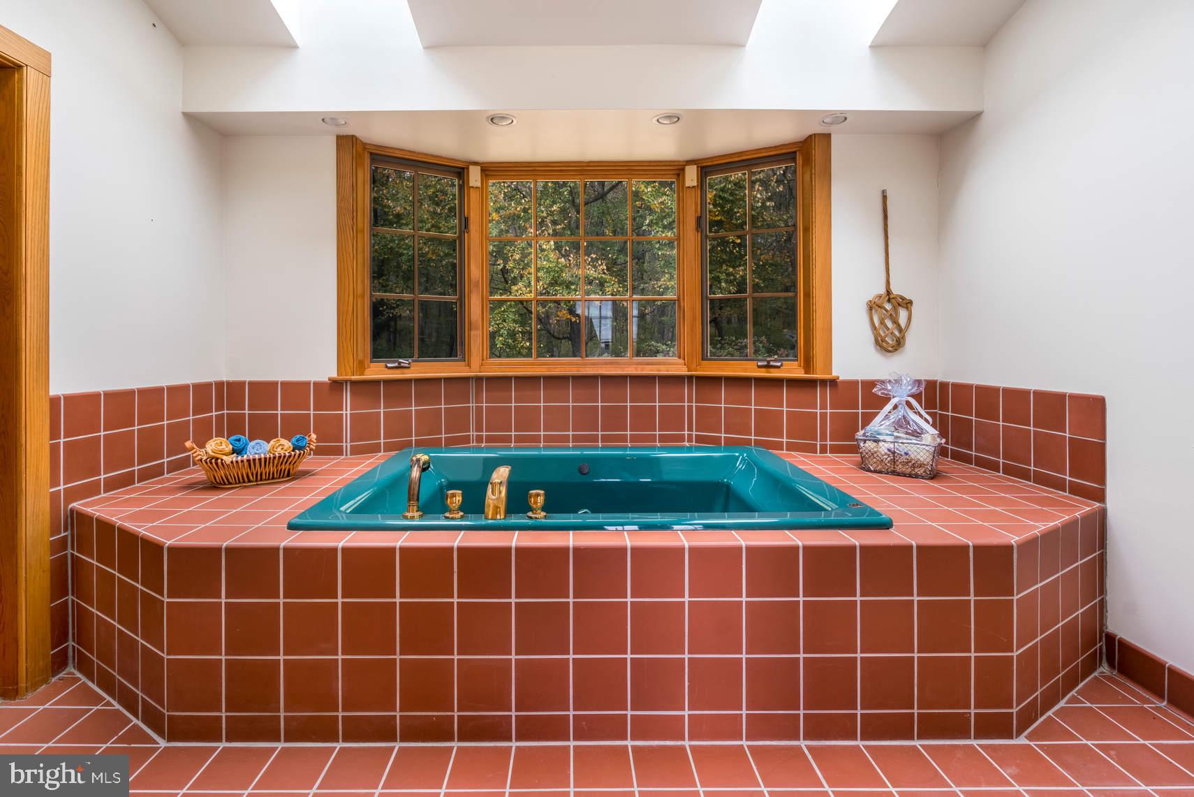 1940 Bryson Road Atglen, PA 19310 - Photo 20 of 23 Jacuzzi Tub