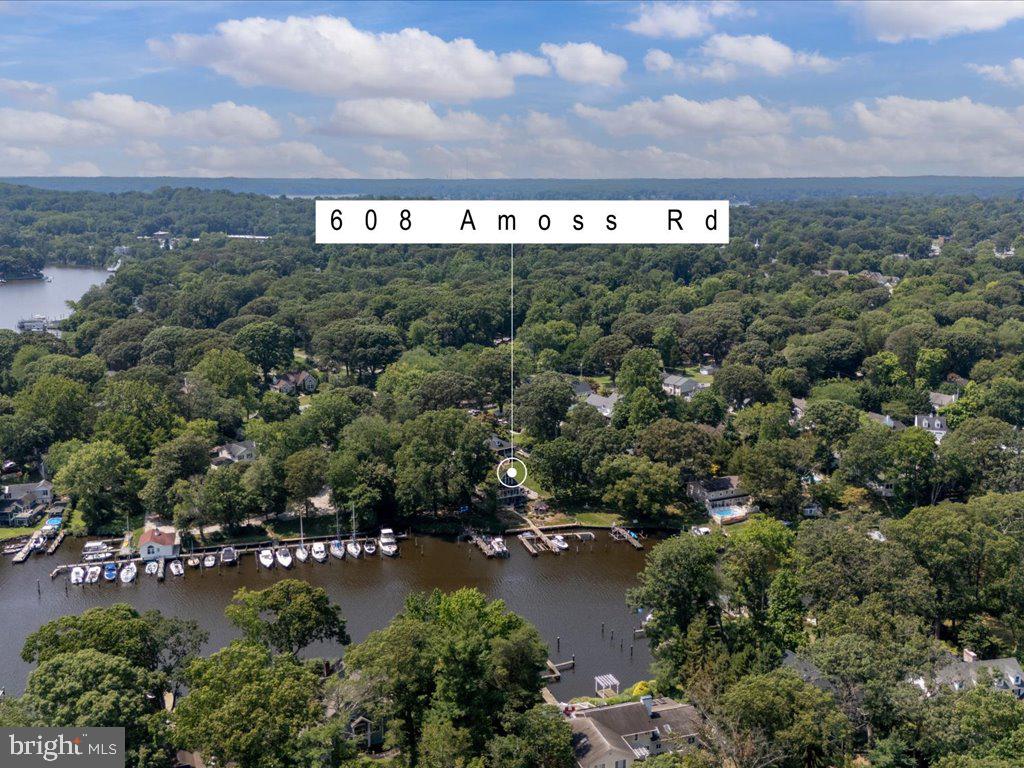 608 Amoss Road Severna Park, MD 21146 - Photo 78 of 81