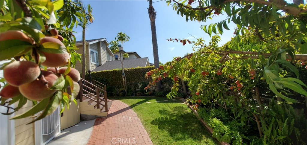 7901 Berger Avenue Playa del Rey, CA 90293 - Photo 47 of 67