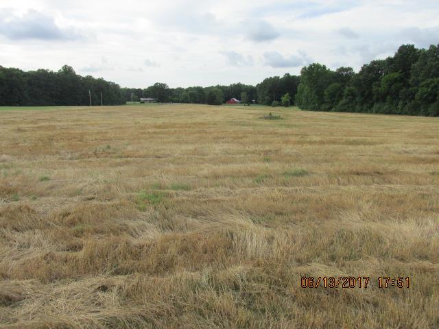 0 Shipley Road Manchester, TN 37355 - Photo 4 of 19 Gallery Image 4