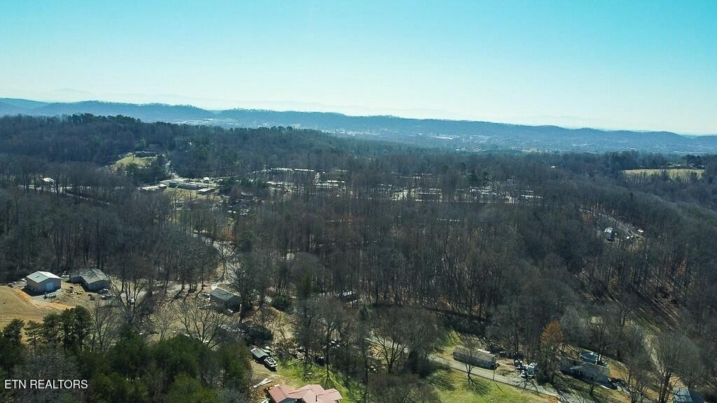 351 Blacks Ferry Road Knoxville, TN 37931 - Photo 11 of 29 Gallery Image 11