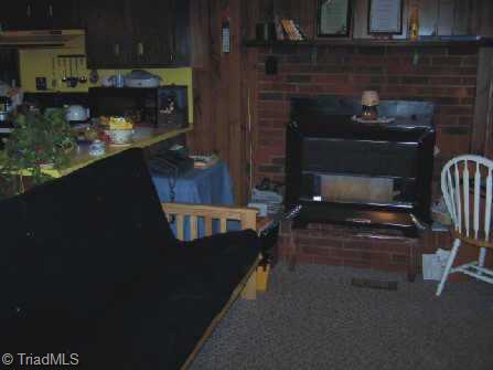 Other. Den has fireplace with wood stove insert and is adjacent to the kitchen/dining area.