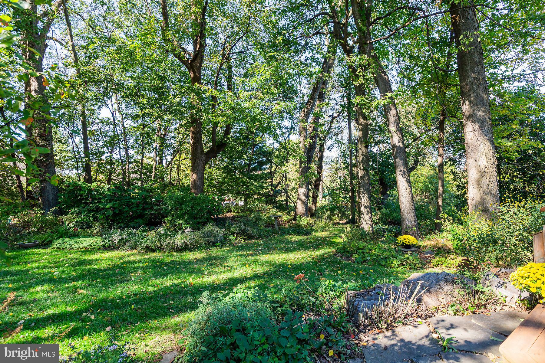 816 Tarpley Drive Lancaster, PA 17601 - Photo 70 of 110 a view of a garden