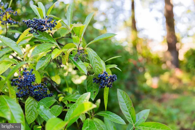 $545,000 | 816 Tarpley Drive, Lancaster, PA 17601