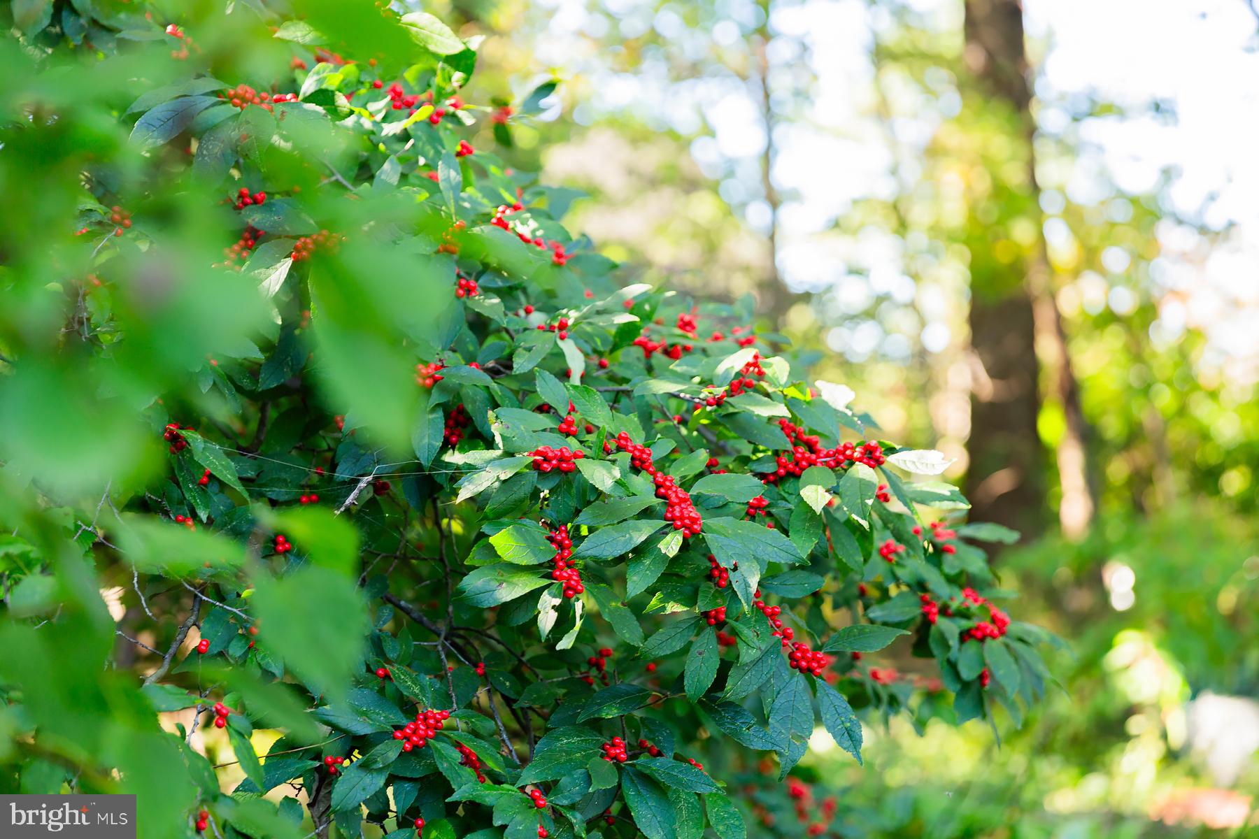 816 Tarpley Drive Lancaster, PA 17601 - Photo 93 of 110