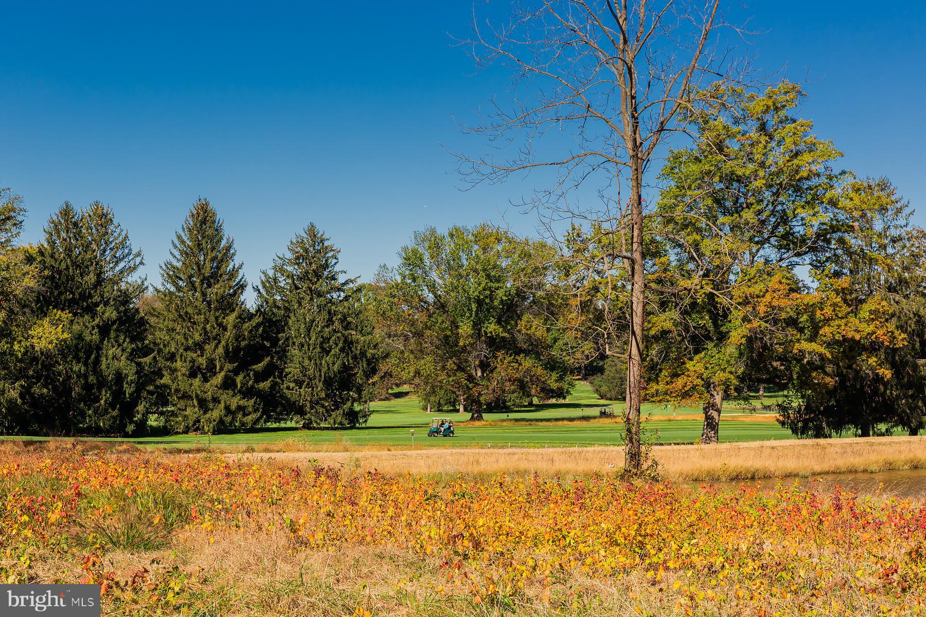 816 Tarpley Drive Lancaster, PA 17601 - Photo 96 of 110 a view of a yard with a house