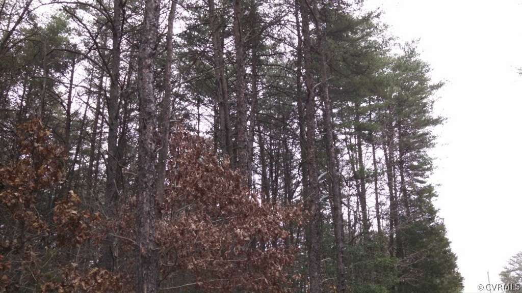 3101 Lowry Road Columbia, VA 23038 - Photo 2 of 3