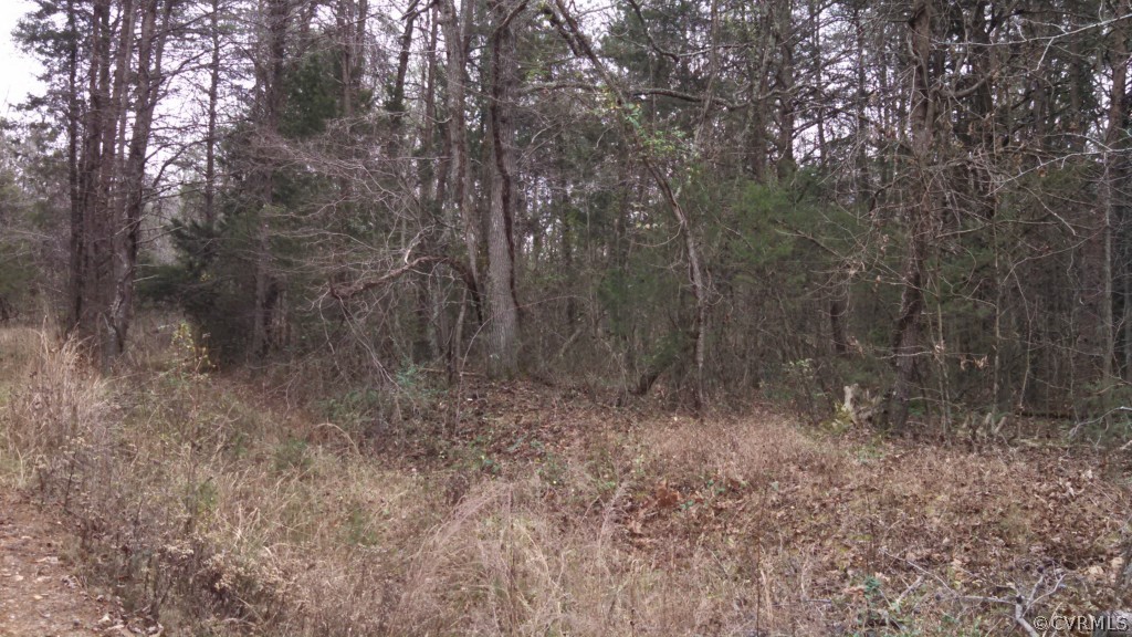 3101 Lowry Road Columbia, VA 23038 - Photo 3 of 3