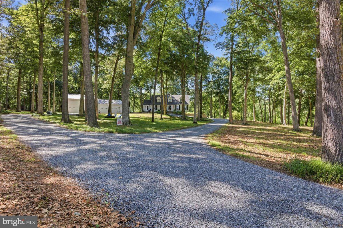 3410 Seaman Road Preston, MD 21655 - Photo 5 of 64