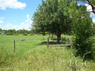 1081 Red Road LaBelle, FL 33935 - Photo 3 of 5 Gallery Image 3