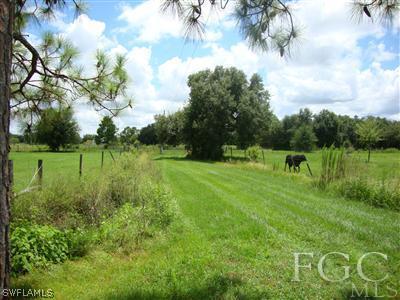 1081 Red Road LaBelle, FL 33935 - Photo 5 of 5 Gallery Image 5