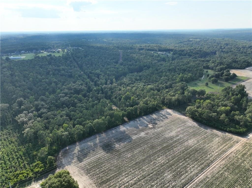 0 Sweetwater Branch Road Fort Mitchell, AL 36856 - Photo 14 of 20 Gallery Image 14