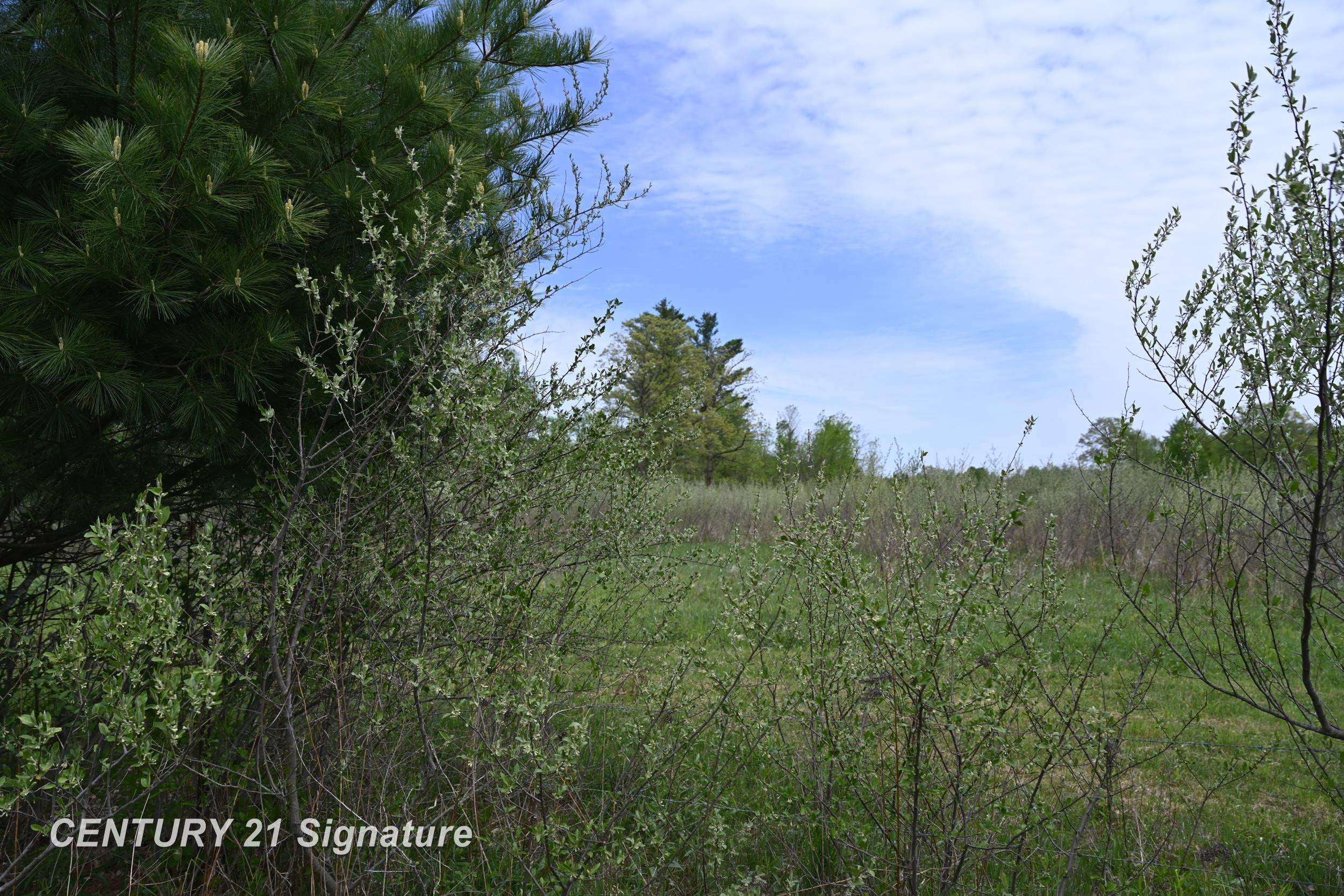 150 East Winegars Road Beaverton, MI 48612 - Photo 68 of 74